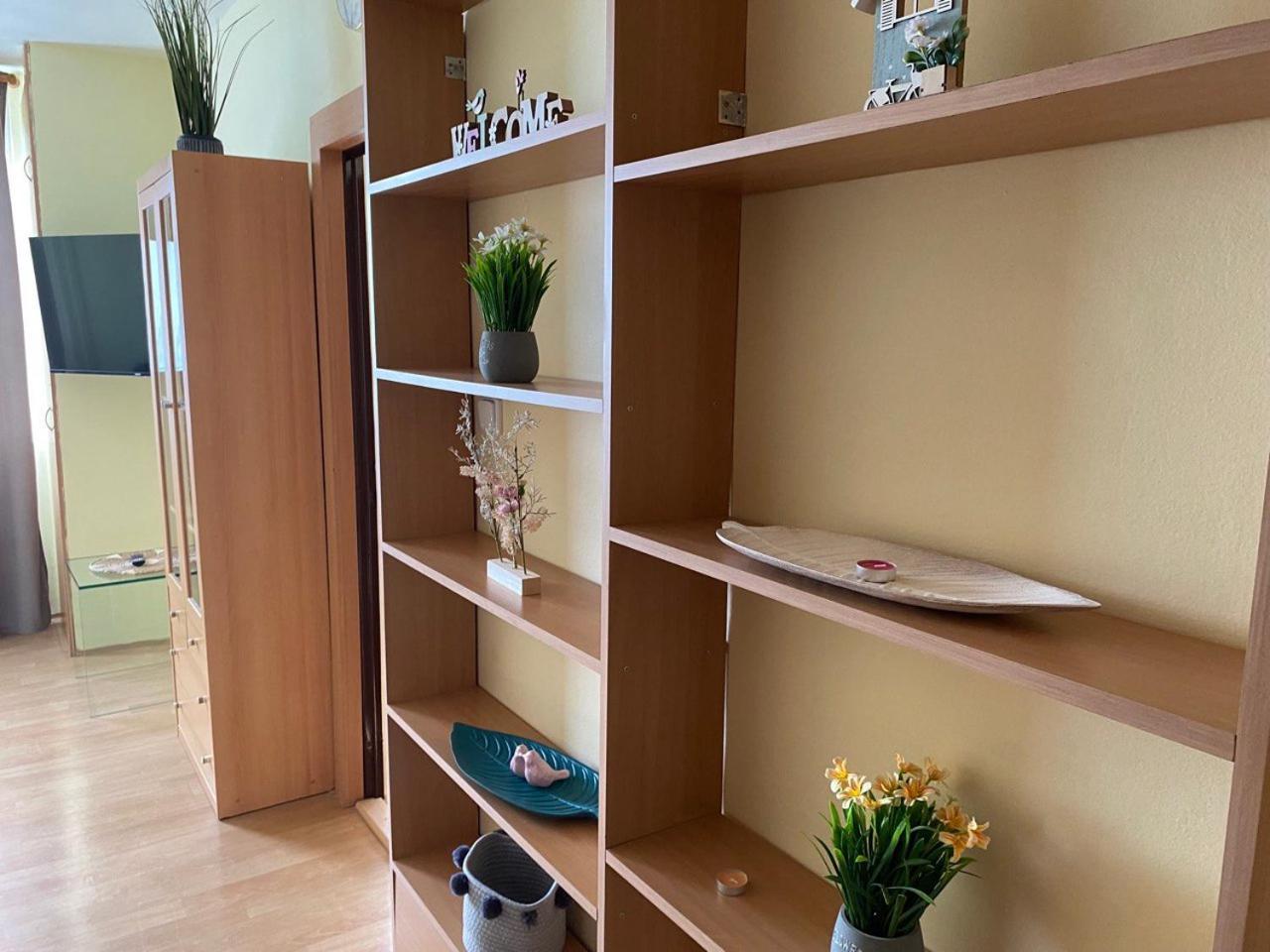 Apartmany 2Kk U Fakultni Nemocnice Volne Parkovani Hradec Králové エクステリア 写真